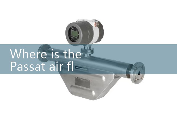Where is the Passat air flow meter located